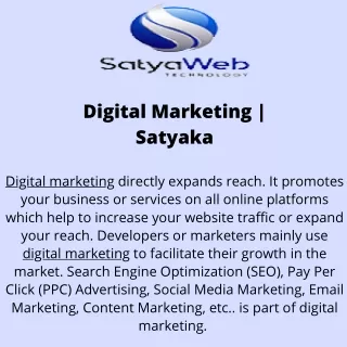 digital marketing satyaka
