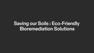 Saving our Soils-Eco-Friendly Bioremediation Solutions