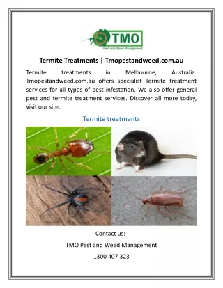 Termite Treatments | Tmopestandweed.com.au