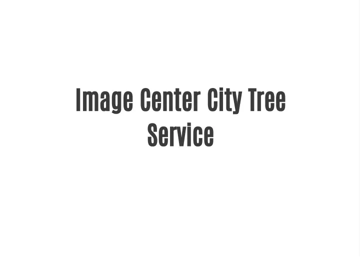 image center city tree service