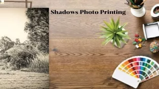 Professional Photo Prints Service in Australia | Shadows Photo Printing