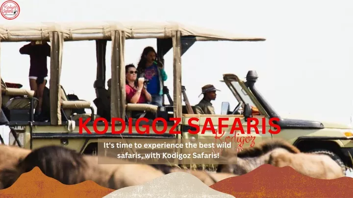kodigoz safaris it s time to experience the best
