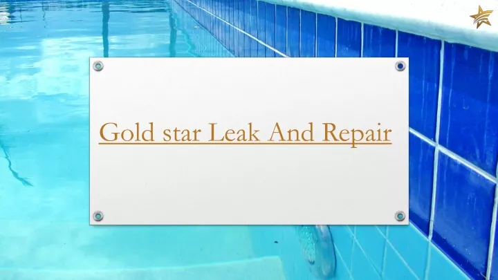 gold star leak and repair