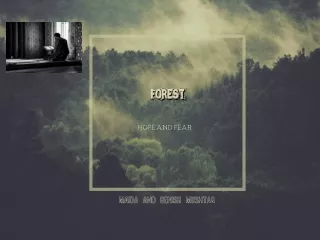 forest forest