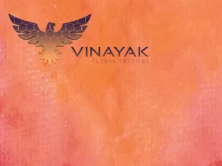 Vinayak Global Services Best In Bird Control Services
