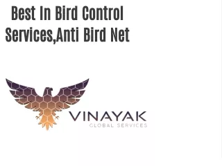 Vinayak Global Services Best In Bird Control Services