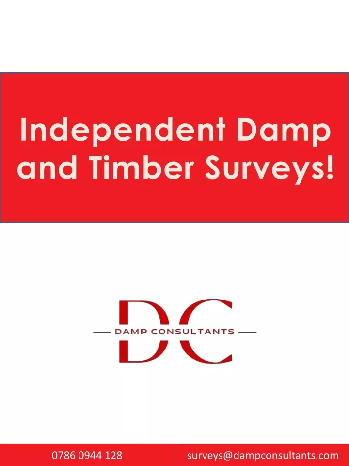 independent damp and timber surveys