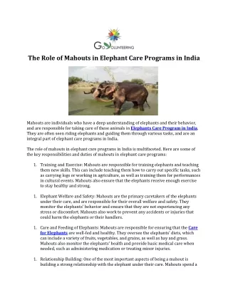 The Role of Mahouts in Elephant Care Programs in India