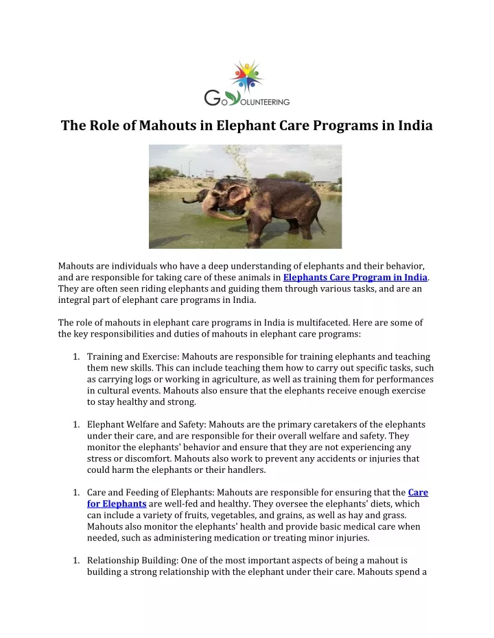 the role of mahouts in elephant care programs