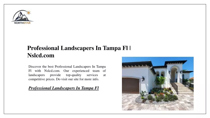 professional landscapers in tampa fl nslcd com