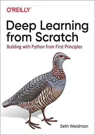 PDF/BOOK Deep Learning from Scratch: Building with Python from First Principles