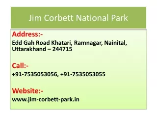 Things to Consider While Planning 3 Days Trip In Jim Corbett