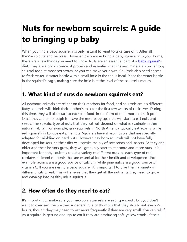 nuts for newborn squirrels a guide to bringing
