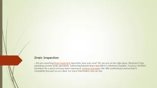 Drain Inspection