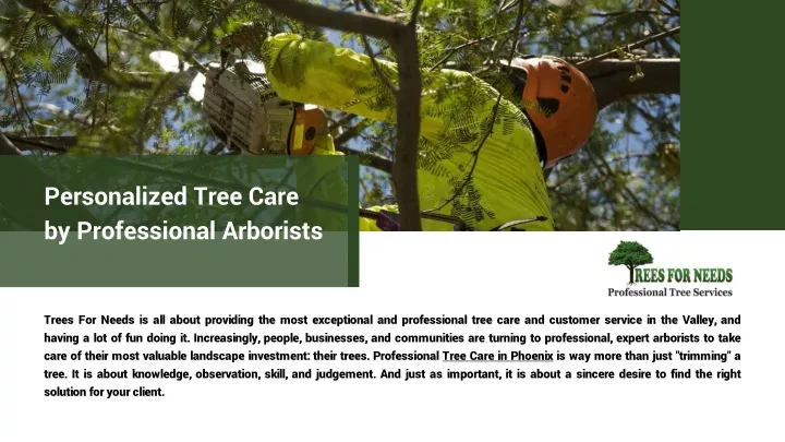 personalized tree care by professional arborists
