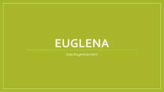 Euglena_(Deutsch)