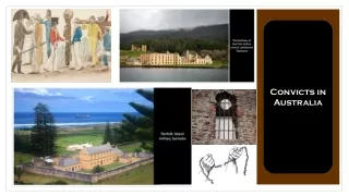convicts in australia