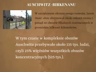 auschwitz birkenanu