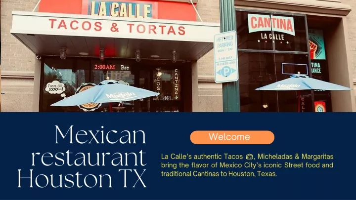 mexican restaurant houston tx