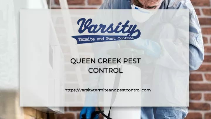 https varsitytermiteandpestcontrol com