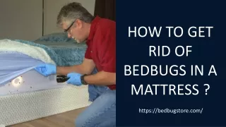 How to Get Rid of Bedbug in a Mattress?