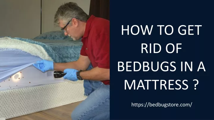 how to get rid of bedbugs in a mattress