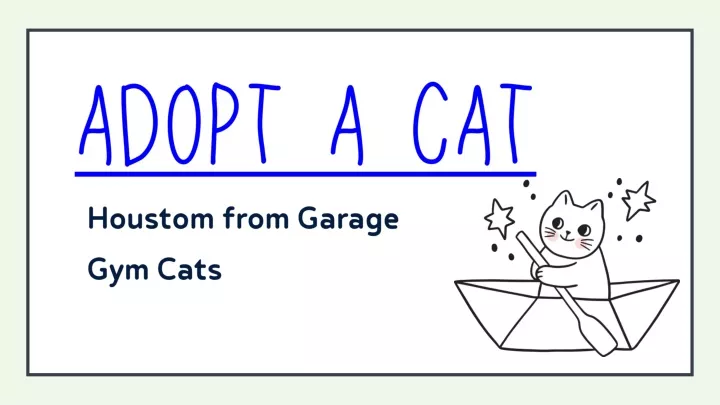 adopt a cat