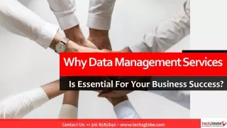 Why Data Management Services Is Essential For Your Business?