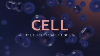 cell cell the fundamental unit of life