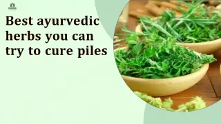 Best ayurvedic herbs you can try to cure piles