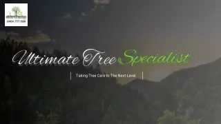 Tree Removal Services In Sydney - Ultimate Tree Specialist