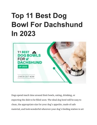 Top 11 Best Dog Bowl For Dachshund In 2023