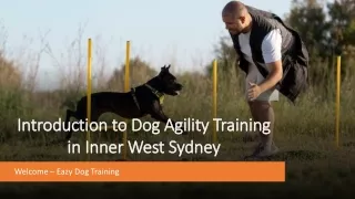 Dog Agility Training Inner West Sydney