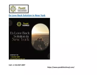 ex love back solution in new york