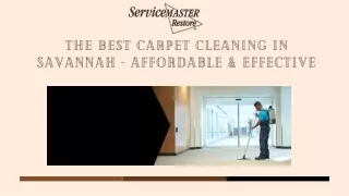 The Best Carpet Cleaning In Savannah - Affordable & Effective