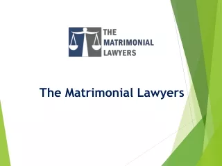 Transfer Petition in Supreme Court - The Matrimonial Lawyers