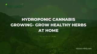 Hydroponic Cannabis Growing- Grow Healthy Herbs at Home