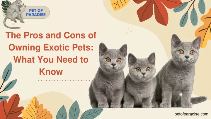 the pros and cons of owning exotic pets what