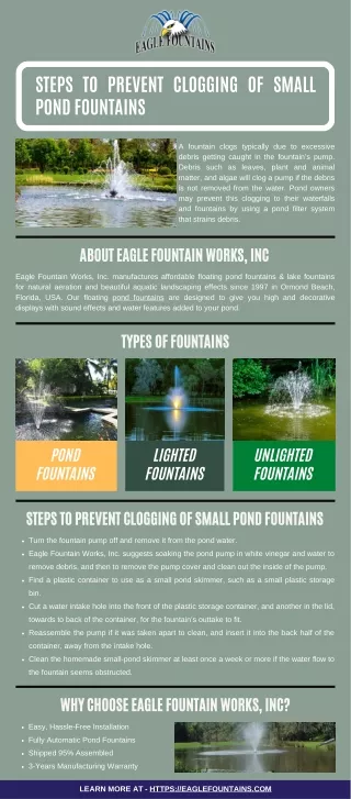 steps to prevent clogging of small pond fountains