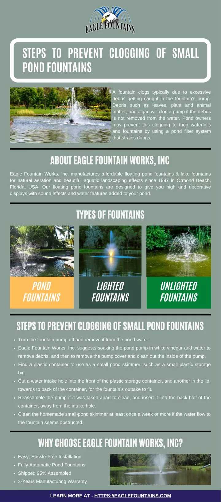 steps to prevent clogging of small pond fountains