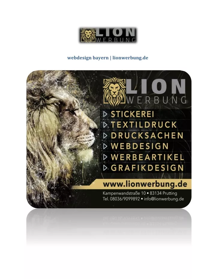 webdesign bayern lionwerbung de