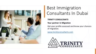 Best Immigration Consultants In Dubai​