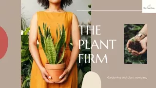 the plant Firm