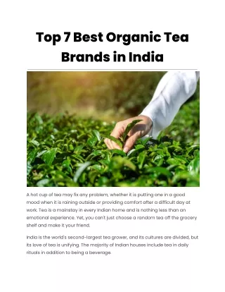 Top 7 Best Organic Tea Brands in India