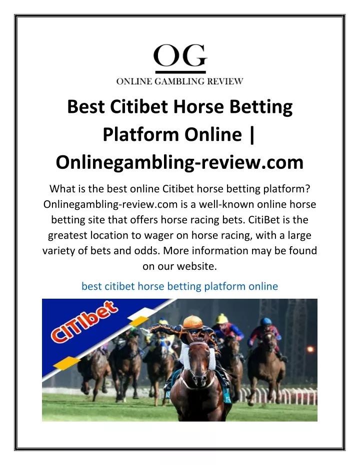 best citibet horse betting platform online