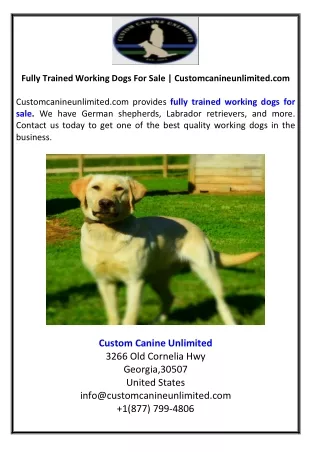 Fully Trained Working Dogs For Sale