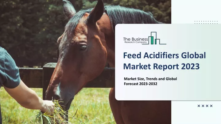 feed acidifiers global market report 2023