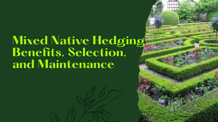 mixed native hedging benefits selection