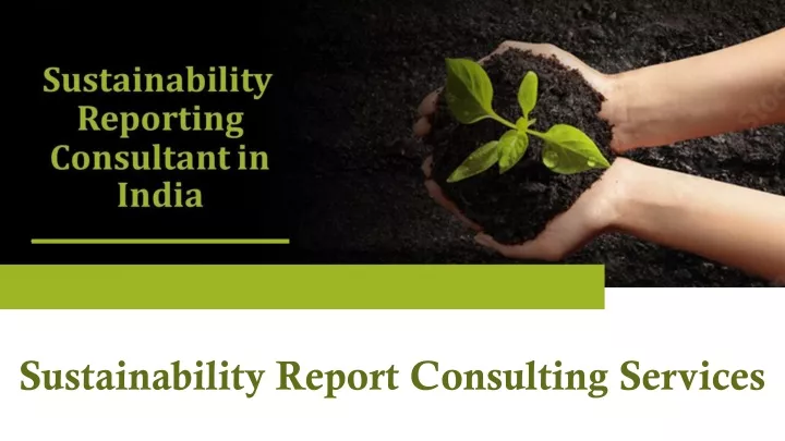 sustainability report consulting services