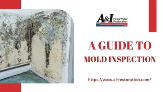 A Guide to Mold Inspection: What are Molds, Right Time for Inspection, Benefits